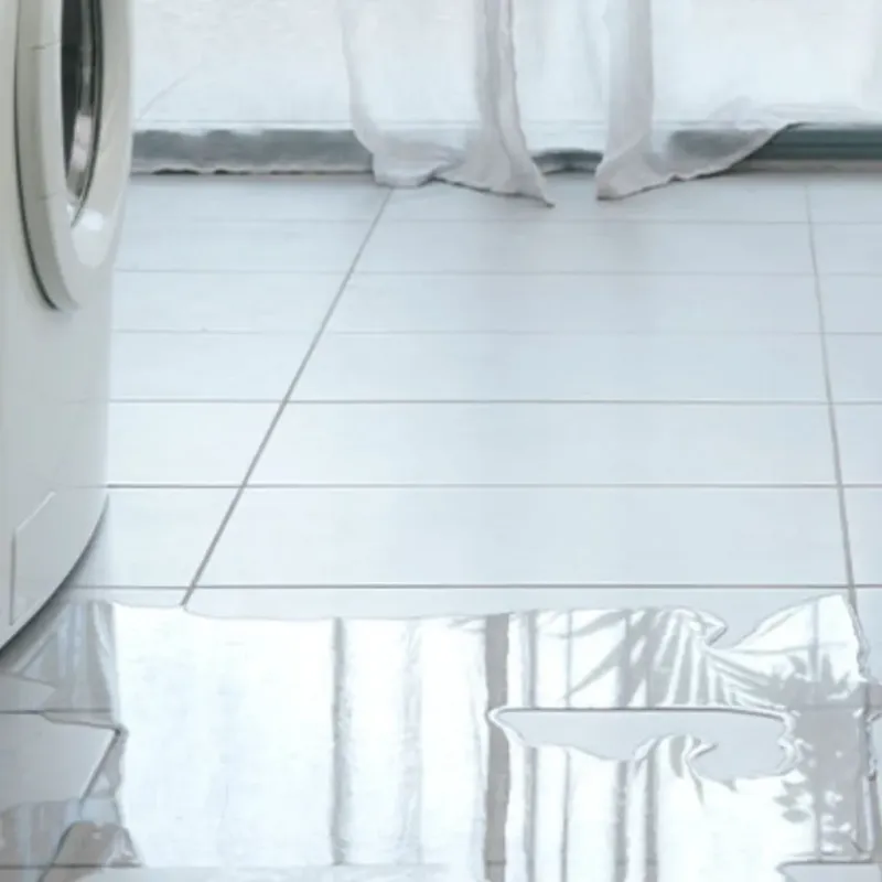 Appliance Leak Cleanup in Sarasota, FL