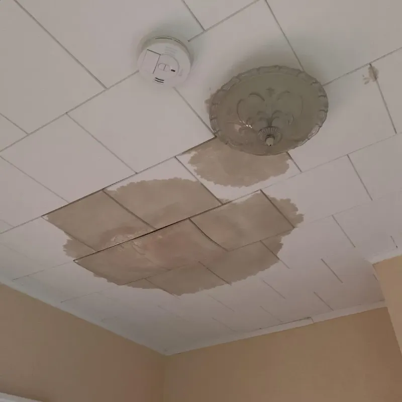 Ceiling Water Damage Repair in Sarasota, FL