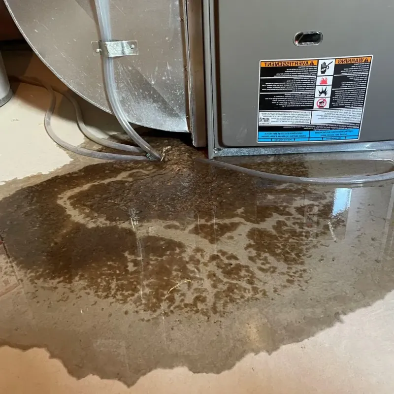 Pipe Burst and Leak Restoration in Sarasota, FL